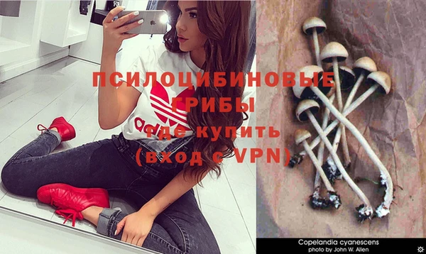дурь Кодинск