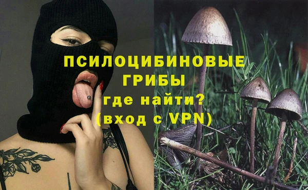 бошки Козельск