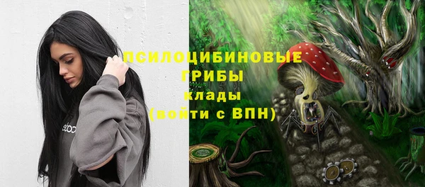 бошки Козельск