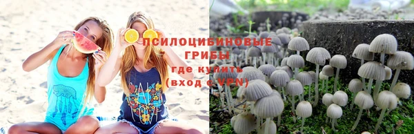бошки Козельск